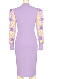 Three-Dimensional Embroidery Petals Mesh Sleeves Stitching Dress Women