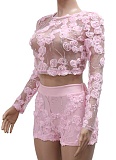 Women'S Embroidered Mesh Round Neck Long Sleeve Top Sexy Shorts Two Piece Suit