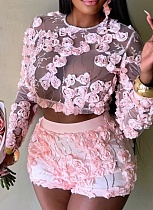 Women'S Embroidered Mesh Round Neck Long Sleeve Top Sexy Shorts Two Piece Suit