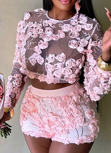 Women'S Embroidered Mesh Round Neck Long Sleeve Top Sexy Shorts Two Piece Suit