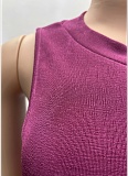 Purple Fashion Sleeveless Top Wide Leg Pants Two-Piece Suit For Women