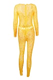Sexy Lace Hollow Deep V See-Through Long-Sleeved Top And Long Pants Two-Piece Set