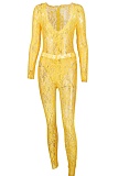 Sexy Lace Hollow Deep V See-Through Long-Sleeved Top And Long Pants Two-Piece Set