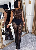 Elegant See-Through Lace Elastic Slim Fit Two-Piece Suit NY-3599