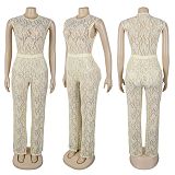 Elegant See-Through Lace Elastic Slim Fit Two-Piece Suit NY-3599