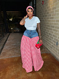 Women's striped denim checkered high-waisted loose wide-leg trousers SFY-737