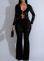Sexy Lace Flocking See-Through Two-Piece Suit For Nightclub Party AIL-311