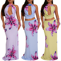 Women sexy backless halter printed crop top and long skirts sets YF-20210