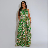 Fashion printed women sexy backless loose long jumpsuit YF-20162