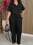 Women Short Sleeves Blouse And Long Pants Casual OL Sets AIL-269