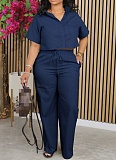 Women Short Sleeves Blouse And Long Pants Casual OL Sets AIL-269