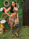 Sexy Leopard Print Women Push-up Crop Bras And Tight Pants 2 Pieces Suits FC-1329