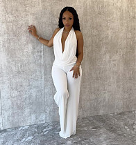 White Super Sexy Backless Halter Women Long Pants Two Pieces Sets SHD-9541