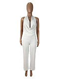 White Super Sexy Backless Halter Women Long Pants Two Pieces Sets SHD-9541