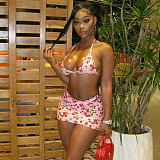 Fashion Print Women Push-up Sexy Bikini 3 Pieces Suits DLS-K25S74822