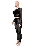 Hot Sexy Transparent Mesh Zipper Cardigant And Long Pants Women Suits SH-391418