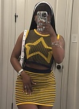 New Knitted Fashion Slim Vest Sexy Hip Skirt Two-Piece Set XS-K25L637