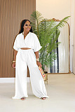 V-neck Crosse Short Top High-waisted Wide-leg Pants Two-piece NTY-7589