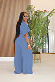 V-neck Crosse Short Top High-waisted Wide-leg Pants Two-piece NTY-7589