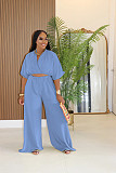 V-neck Crosse Short Top High-waisted Wide-leg Pants Two-piece NTY-7589