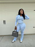Slim Short Hoodied Long Sleeve High Waist Trouser Two Pieces Set RS-B8201
