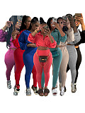 Women Long Sleeves Zipper Solid Color Crop Tops And Long Pants Leisure 2 Pieces Sets CH-24059