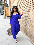 Sexy Slim Fit V-Neck Long Sleeve Flared Jumpsuit PMR-780