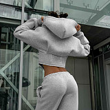 Casual Long Sleeve Fleece Zipper Cardigan Hooded Sweatshirt Jacket DZHT-143