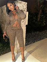 Sexy Leopard Print Slim-fit Long-sleeved Top and Shorts Set XS-45169