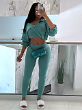 Women Long Sleeves Zipper Solid Color Crop Tops And Long Pants Leisure 2 Pieces Sets CH-24059