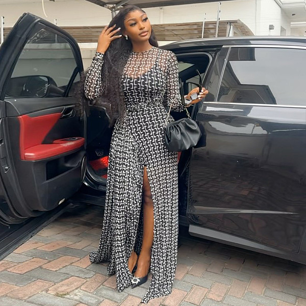 Slit Slightly Transparent Waist Printed High Collar Long Sleeve Hip Dress JY-303235