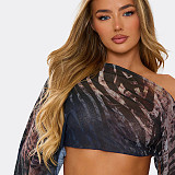 Tiger Print Mesh Off-Shoulder Long-Sleeved Top and Bodycon Skirt Set DZHT-403