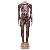 Sexy Leopard Print Gauze Printed Sheer Bodysuit BY-7541