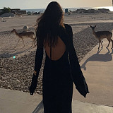 Sexy Backless Stretch Knit Sequin Bell Sleeve Long Sleeve Dress MRA-42658