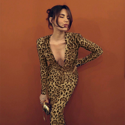 Sexy Slim-fit Twisted Long-sleeved Leopard Print Hip Dress SUM-25322