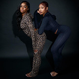 Fashionable Hooded Leopard Print Long-sleeved Sports Slim Trousers Two-piece Set DLS-82117