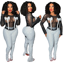 Sexy Transparent Mesh Bow Spotted Print Split Trousers Two-piece Sets YNS-2655 Sexy Transparent Mesh Bow Spotted Print Split Trousers Two-piece Sets YNS-2655