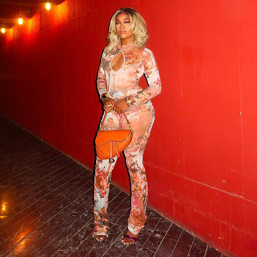 Round Neck Zippered Cutout Mesh Printed Bootcut Cropped Jumpsuit XYWL-25JP336
