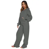 Casual Loose Solid Color Hooded Zipper Cardigan and Trousers Two-piece Set SSN-211512