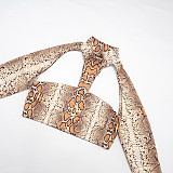 High Collar Halter Neck Shawl Tube Top Snake Print Printed Navel Cropped Pants Suit XYWL-25ST344