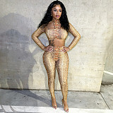 High Collar Halter Neck Shawl Tube Top Snake Print Printed Navel Cropped Pants Suit XYWL-25ST344