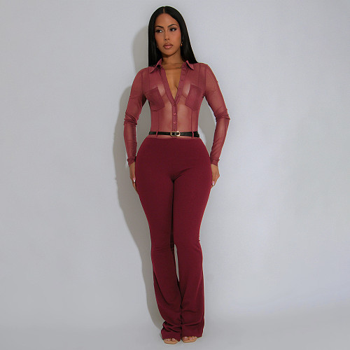 Sexy See-through Long Sleeve Bodysuit YF-10910