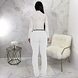 Sexy See-through Long Sleeve Bodysuit YF-10910