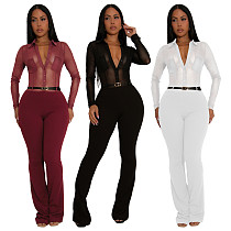 Sexy See-through Long Sleeve Bodysuit YF-10910