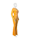 Leisure Sets Women Long Sleeves Zipper Hoodies And Long Pants CH-24058