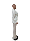 Formal Jacket Bubble Mesh Fabric Straight-leg Suit LSD-83121