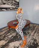 Sexy See-through Leopard Print Long-sleeved Top and Pants Set XS-1491