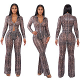 Autumn and Winter Python Print Mesh Lapel Zipper Cardigan and Flared Pants Suit XYWL-25ST445