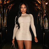 Half Turtleneck Light Color Snake Print Long Sleeve Hip Short Dress XYWL-25DS369