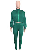 Casual High-waisted Trousers And Zipper Cropped Jacket Two Pieces Sport SH-391438